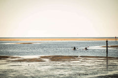 Vibe Kayaks | Shaka 100